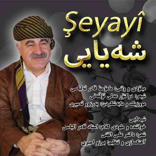 قادر الیاسی  شه یایی